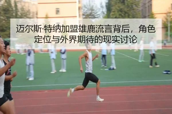 mai-er-si-te-na-jia-meng-xiong-lu-liu-yan-bei-hou-jue-se-ding-wei-yu-wai-jie-qi-dai-de-xian-shi-tao-lun-2-482.jpg